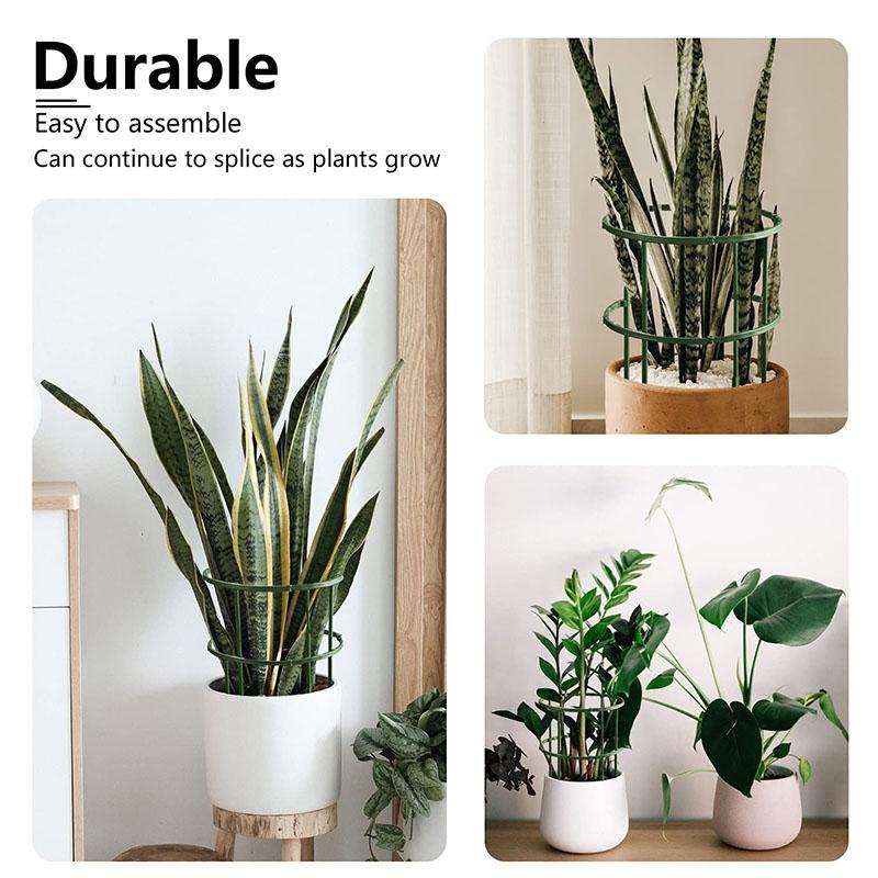 2-12PCS Plant Support Pile Garden Semicircle Flower Stand Cage Plant Grow Fixing Rod Vine Climbing Bracket Stake Holder Bonsai Tool