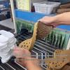Женские зимние ботинки на толстой подошве, кожа и мех, увеличивающие рост, с шерстяной подкладкой, короткие.