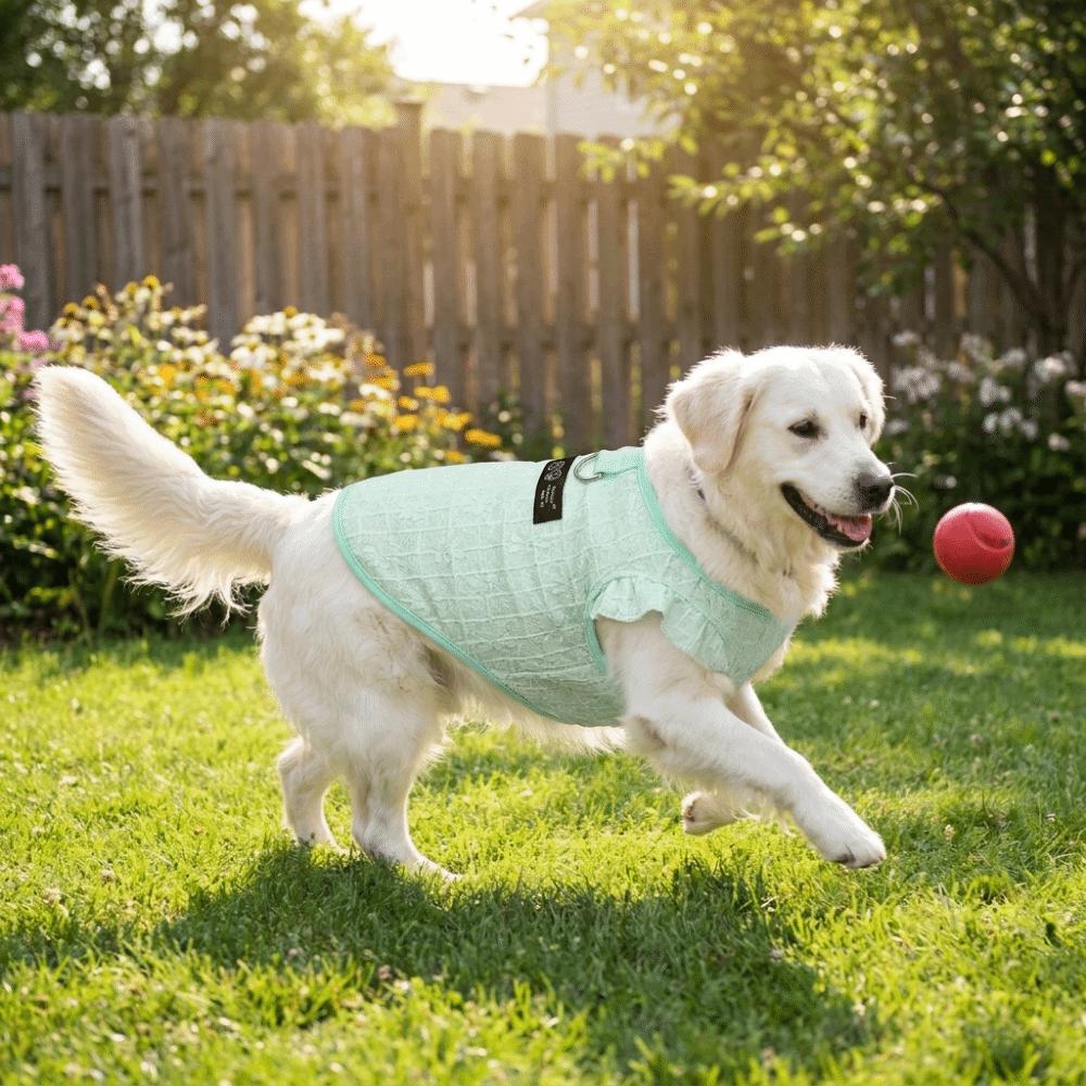Airy Fabric Pet Cooling Vest Fly Sleeve Summer Dog Clothes Cute Dog Sunscreen Shirt Sun Protection