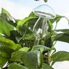Mushroom Glass Drip Irrigation Device for Potted Plants