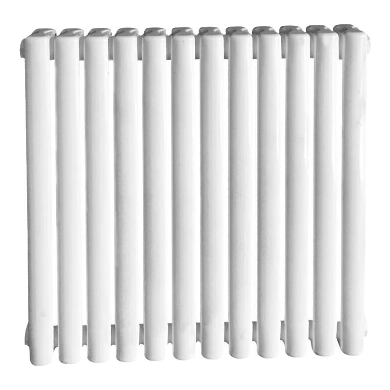 Dongfeier 6030 Steel Double-Column Hydronic Radiator