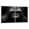 2x GLASS PROTECTIVE PLATE FOR STOVE 40x52 GORILLA