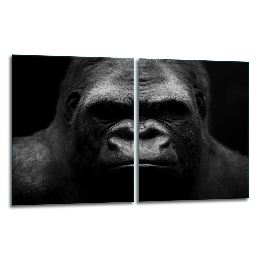 2x GLASS PROTECTIVE PLATE FOR STOVE 40x52 GORILLA