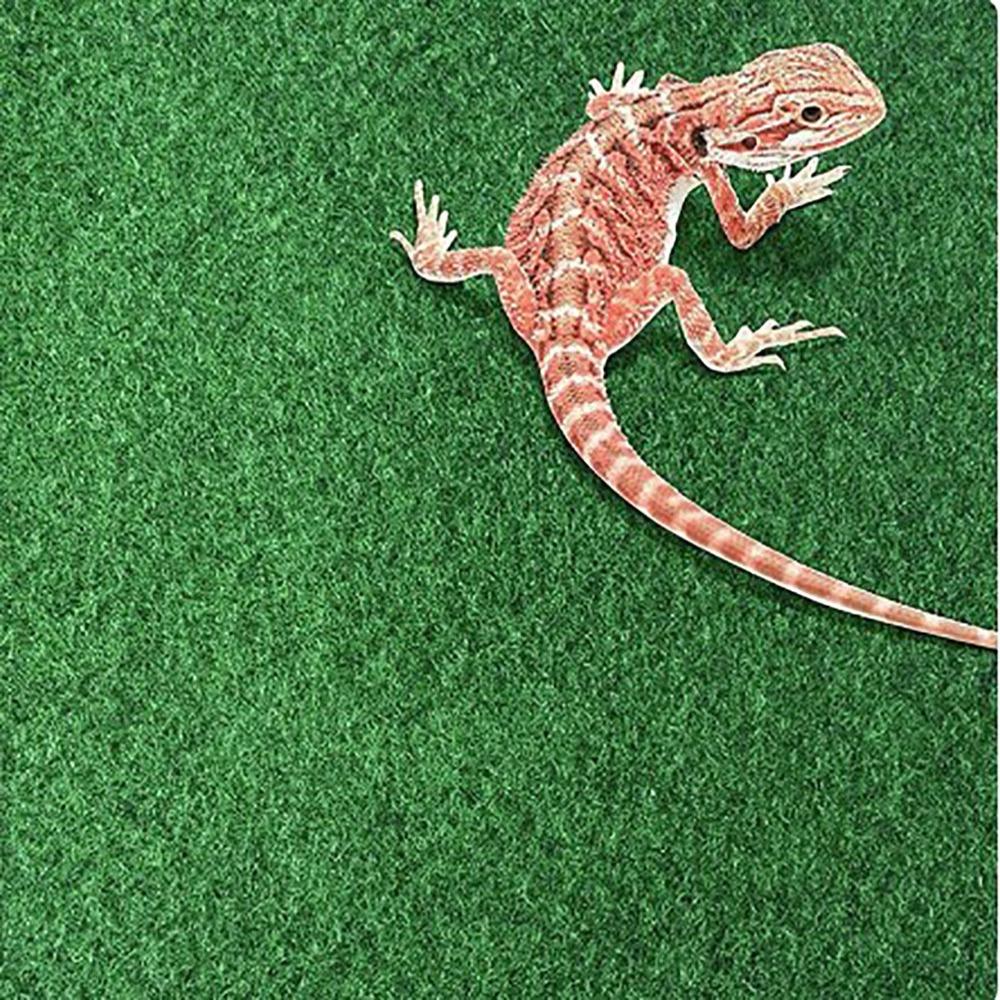 Water Absorbing Moisturizing Reptile Bed Waterproof Crawling a Pet Carpet  Lizard