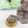 Natural Catnip Cat Toys Interactive, Ball Hairball Control & Digestive Aid, Organic Cat Grass Snack for Indoor Cats
