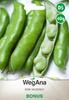 Broad Bean Bonus 40g Broad Bean Seeds -