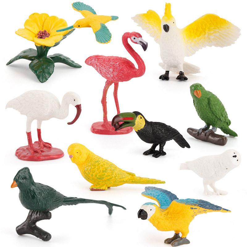 Small Hummingbird Animal Model Pvc Nature Scene Display For Childrens Classroom Use
