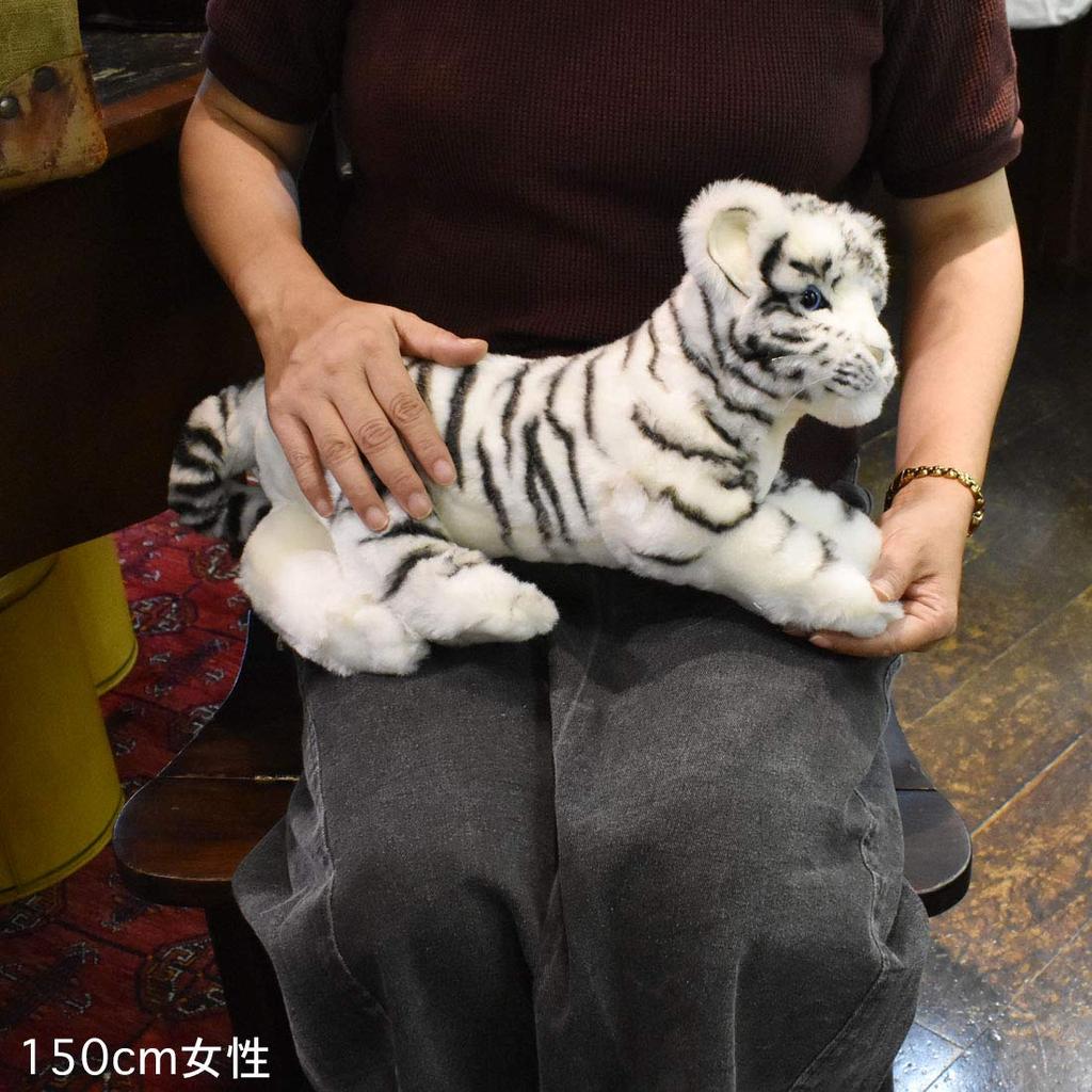 Cowhite Tiger No.4754