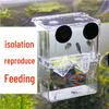 Acrylic Fish Breeding & Isolation Box for Guppies