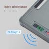Xiangshan Portable Digital Luggage Scale
