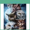 Painting Diy 5d Diamond Full Square Animal Owl Embroidery Sale Picture Rhinestone Diamond