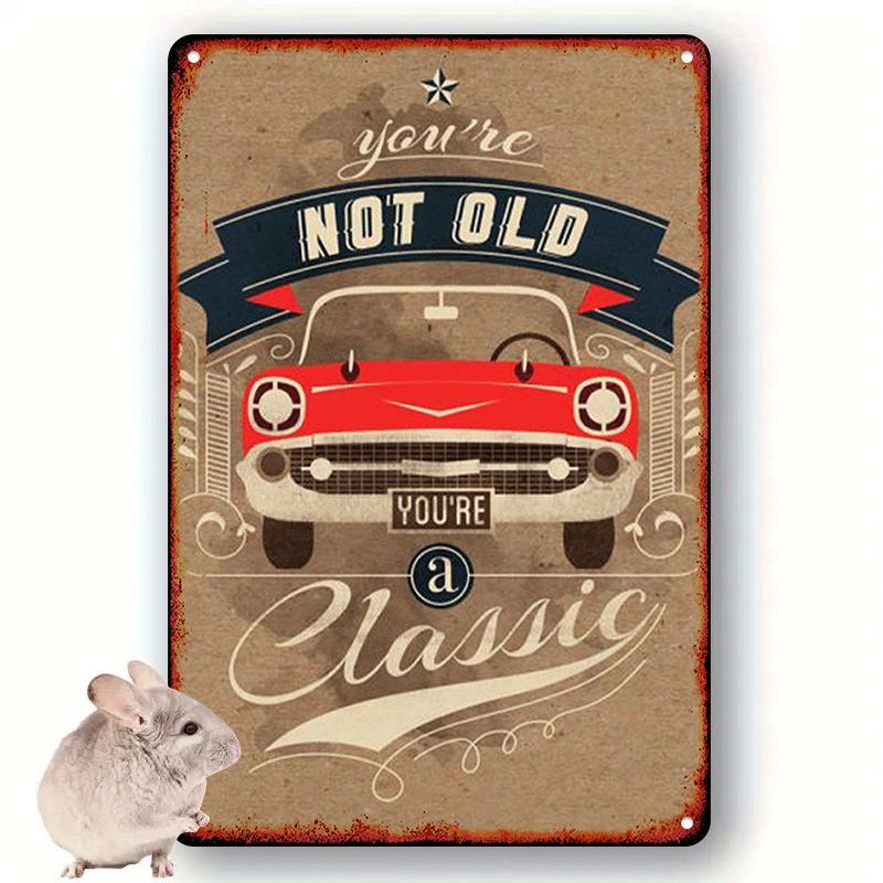 Vintage Youre Not Old Youre a Classic Aluminum Sign Retro Car Art Wall Hanging Multipurpose HomeBar Decor for B