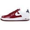 Air Force 1 Low LeBron 309096-611