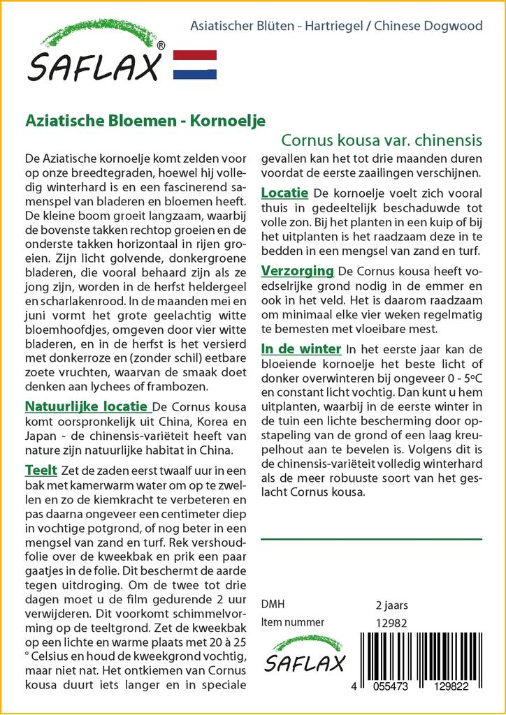 SAFLAX Подарочный набор - Кизил китайский - 30 семян - С подарочной коробкой, карточкой, этикеткой и субстратом для горшков - Cornus kousa