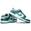 Nike Dunk Low GS Bicoastal Kids Sneakers White HF4798-100