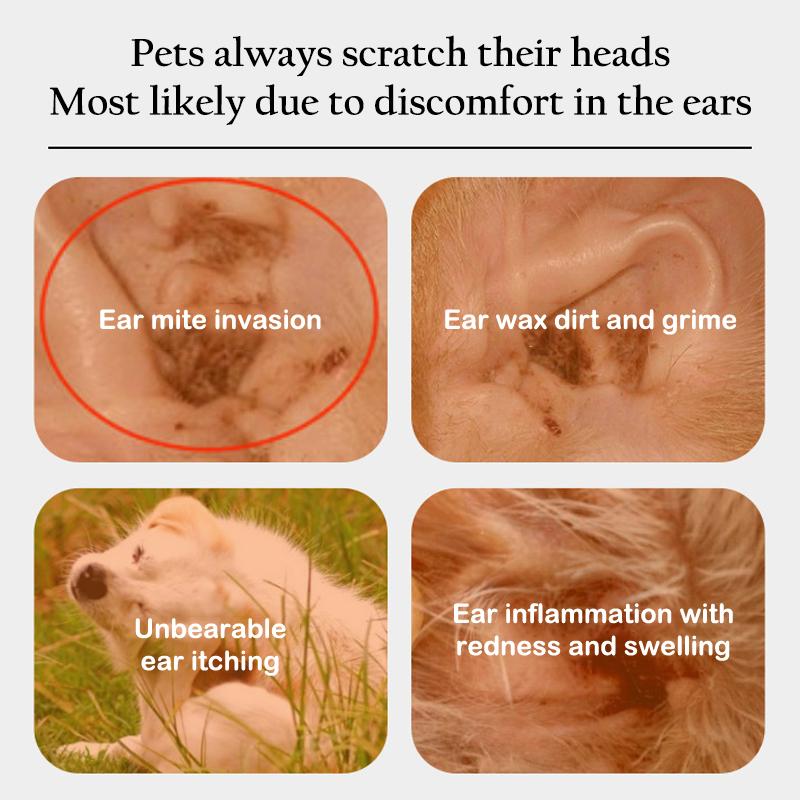 50 Pcs Pet Ear Cleaning Cotton Swabs For Dogs And Cats Essential Oil Ear Washing Liquid Cotton Swabs Anti-Ear Mites And Earwax