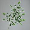 Искусственные Зеленые Растения Ветвь Фикуса Кордата Искусственная Зелень Низкоуходные Реалистичные Шелковые Листья Декор для Дома Сада Мероприятий