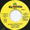 7inch Record MIKEY SPICE - So Much Things To Say NONE Big Ship 1996 Jamaica Reggae, Ska & Dub Used