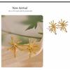 Used Earrings, luxury, gold, high-class, elegant, mature, sophisticated, accessory