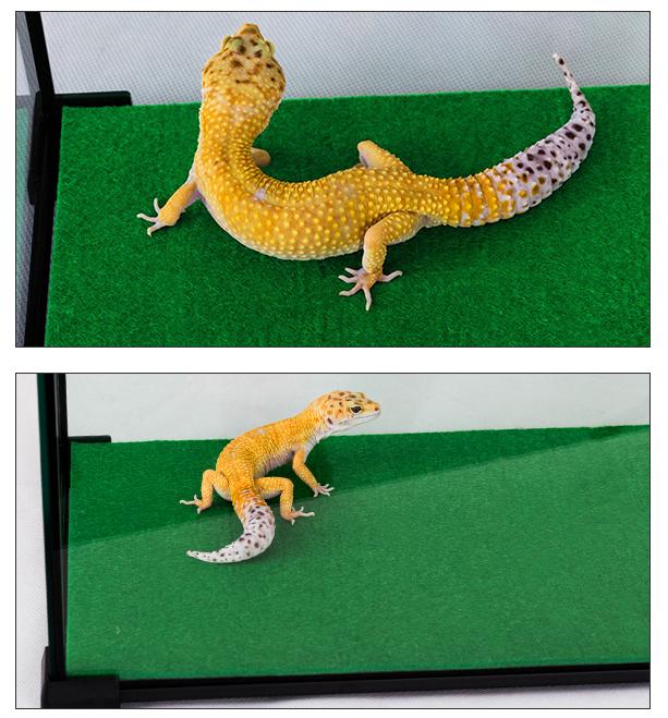 Коврик Repti-Zoo - Подложка для террариума 20X20см