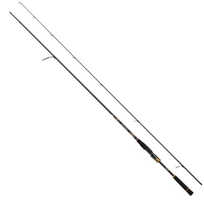 Daiwa Удилище для ловли морского окуня MORETHAN BRANZINO EX AGS 94MMH черное