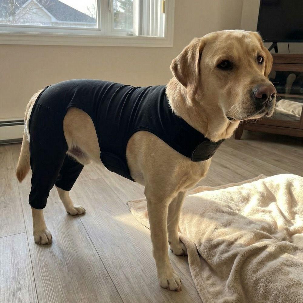 Adjustable Dog Leg Rehabilitation Suit Breathable Dog Knee Brace  Wound Protection