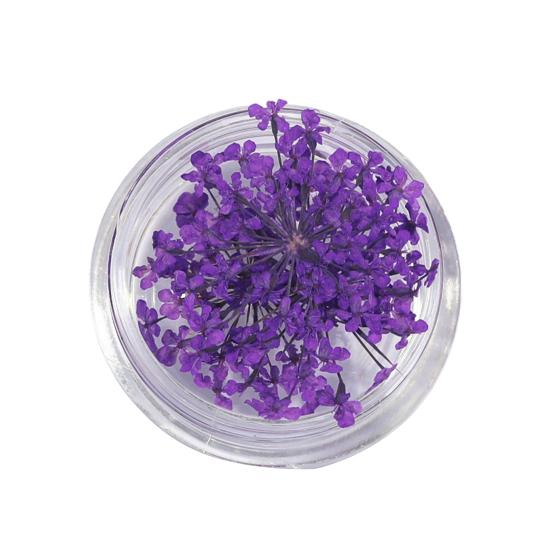 1 коробка подвески для ногтей, не выцветающие, «сделай сам», легко наносятся, изысканные красочные натуральные цветы, художественное украшение для маникюрного магазина