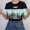 1 Meter Mint Green Saddle Rooster Feather Fringe Trim 10-15CM Pheasant Feathers Ribbon for Crafts Party Dress Plumes Decoration