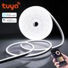 Tuya Smart Life App Control WiFi LED Neon Strip Light 12V Neon Tape Car Kitchen Room Backlight Decor Работает с Alexa Google Home