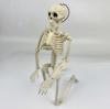 Skeleton Figure Object Drawing 40cm Model Interior Halloween