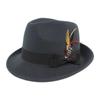 Wild Brim Jazz Hats Имитация шерсти Костюм Кепка для косплея Практичные украшения из перьев Шляпа для улицы