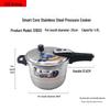 ASD Stainless Steel Pressure Cooker