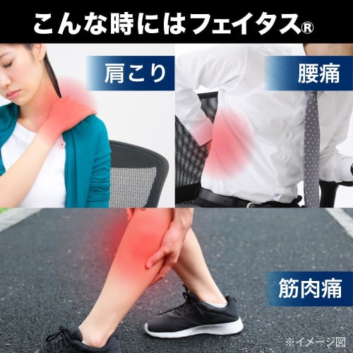 [Category 2 OTC Drug] Fetasip Warming 10 Sheets