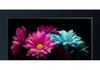 Взрывозащищенный 8K Ultra HD ЖК-телевизор: Полноэкранный 85 дюймов, 55 дюймов для пожилых, 65 дюймов Smart-модель для настенного монтажа