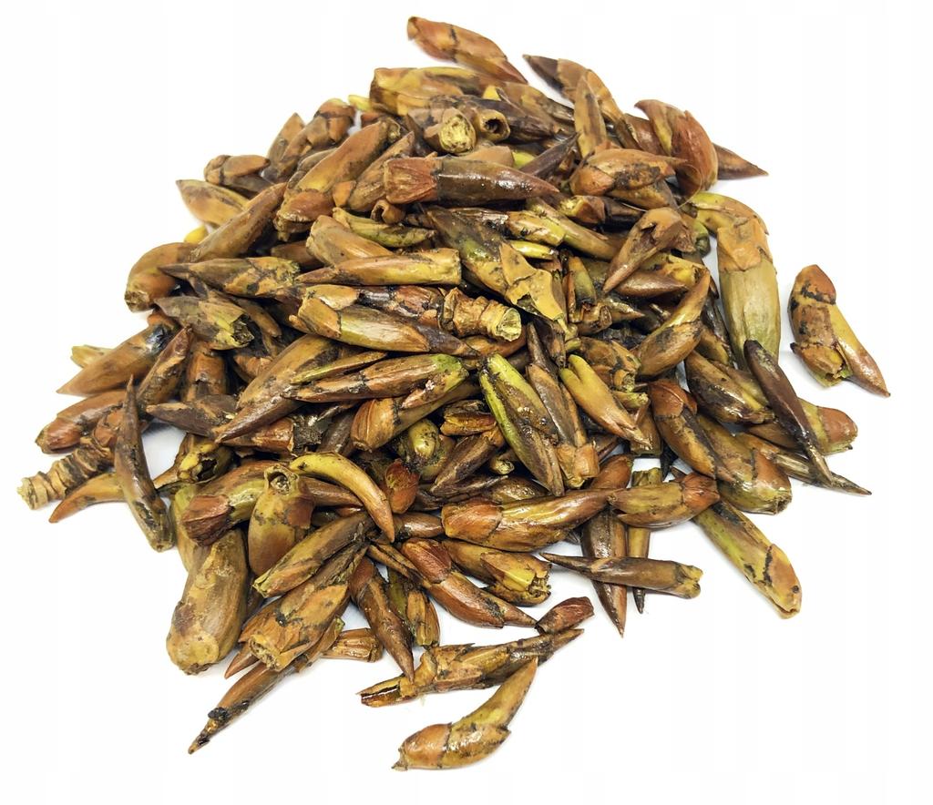 Whole Dried Black Poplar Buds 500 G 100%