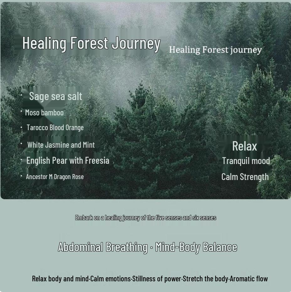 Ингалятор с эфирными маслами для ароматерапии - Спа-устройство для тестирования ароматов и терапии головы в салонах красоты