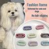 Adorable Solid Color Pet Hair Clips - Dog Hairpins and Headwear for Bichon & Teddy