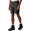 Regatta Eldes Shorts
