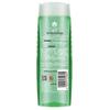 Fenghua Aloe Vera Hydrating Shampoo