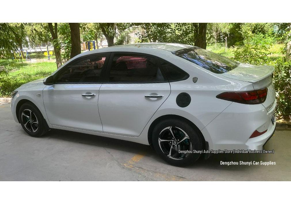 Колесо Shunyi Langyi 16 дюймов для Langdong Qin 17/18 дюймов и Sylphy Seagull 15 дюймов