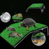 Lawn Landscaping Turtle Ladder Turtle Basking Platform Moss Island Turtle Floating Island
