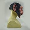 Monkey Latex Mask