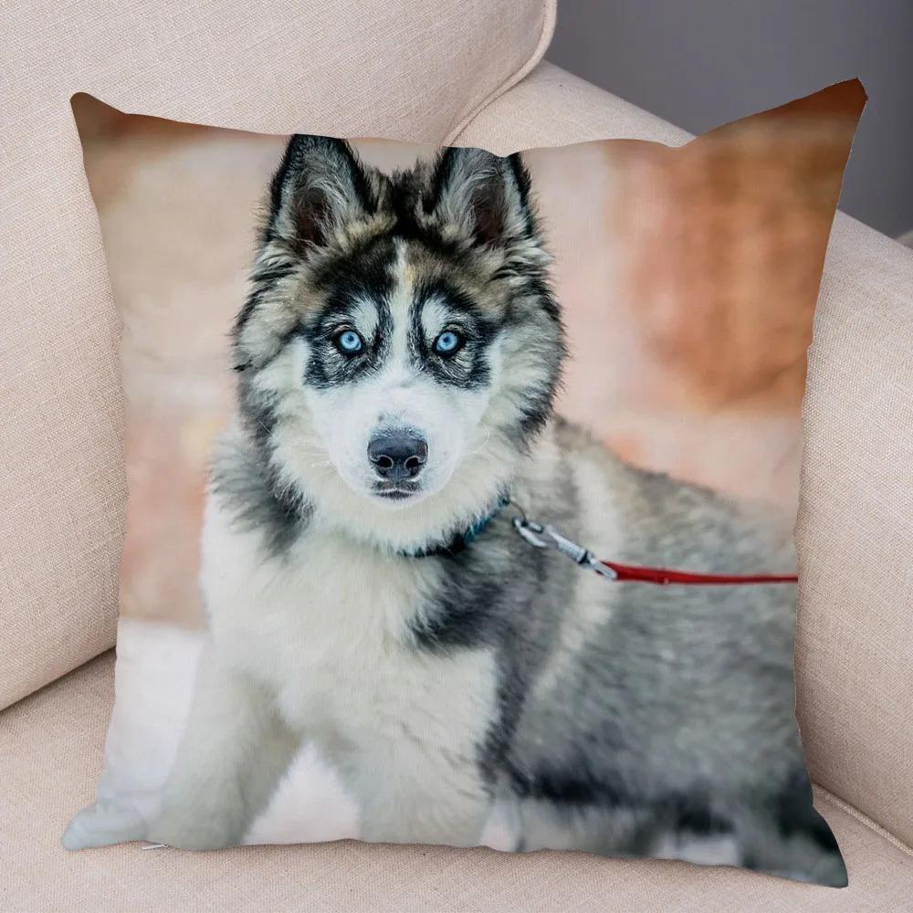 pc Realistic Siberian Husky Print Pillowcase Set  Polyester NonEmbroidery Cushion Covers for Sofa Bed Dog Lover Home Decor