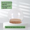 Ins Style Preserved Flower Glass Dome with Cork Base - Creative Dustproof Display Ornament