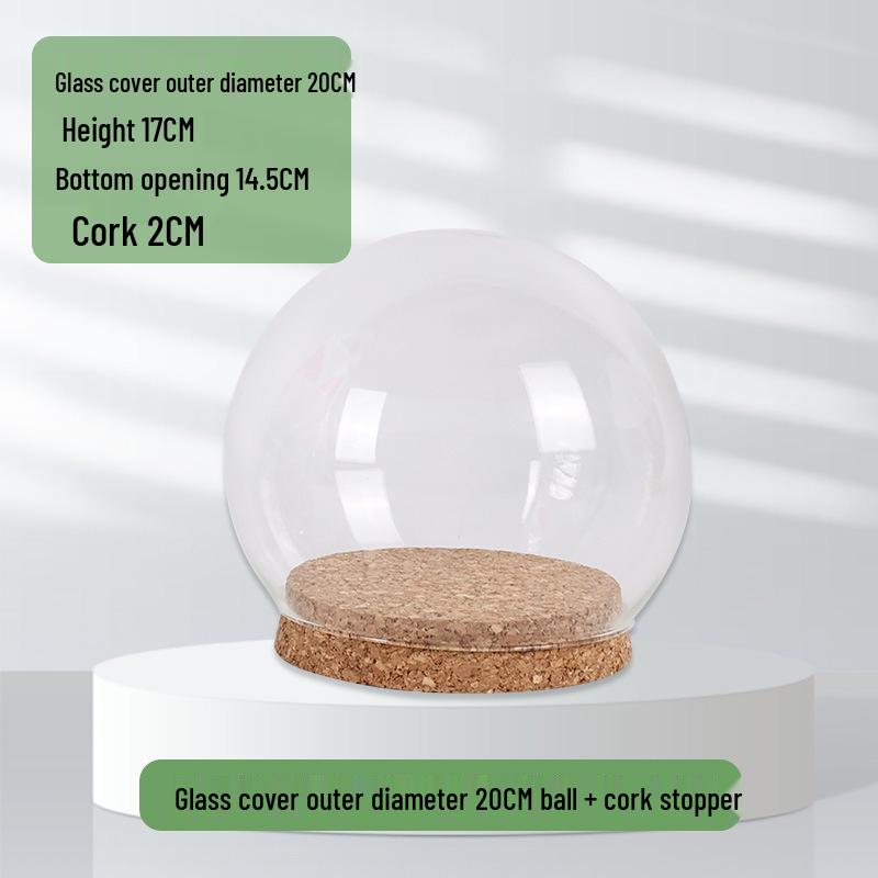 Ins Style Preserved Flower Glass Dome with Cork Base - Creative Dustproof Display Ornament