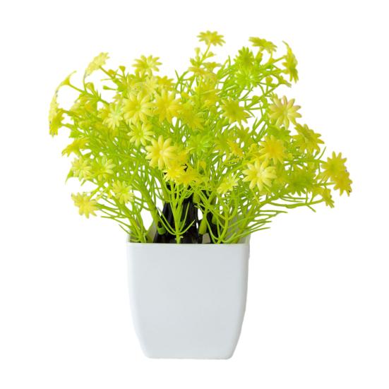 Красивые растения в горшках, не требующие полива, создают романтическую атмосферу