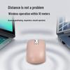 Беспроводная Bluetooth-мышь двойного режима, бесшумная, с настраиваемым Type-C, для ноутбука