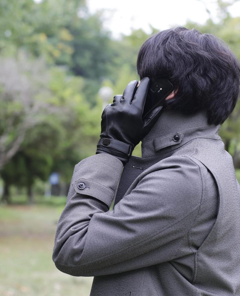 Leather Cold Smartphone Hand Bordeaux [Sankyo Shokai] Men's Gloves, Protection, Compatible, Stitched