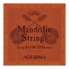 ARIA Mandolin Mandolin Strings AGS-100MA