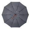 Lijing Tiancheng LJ3018 10-Rib Automatic Sun & Rain Umbrella
